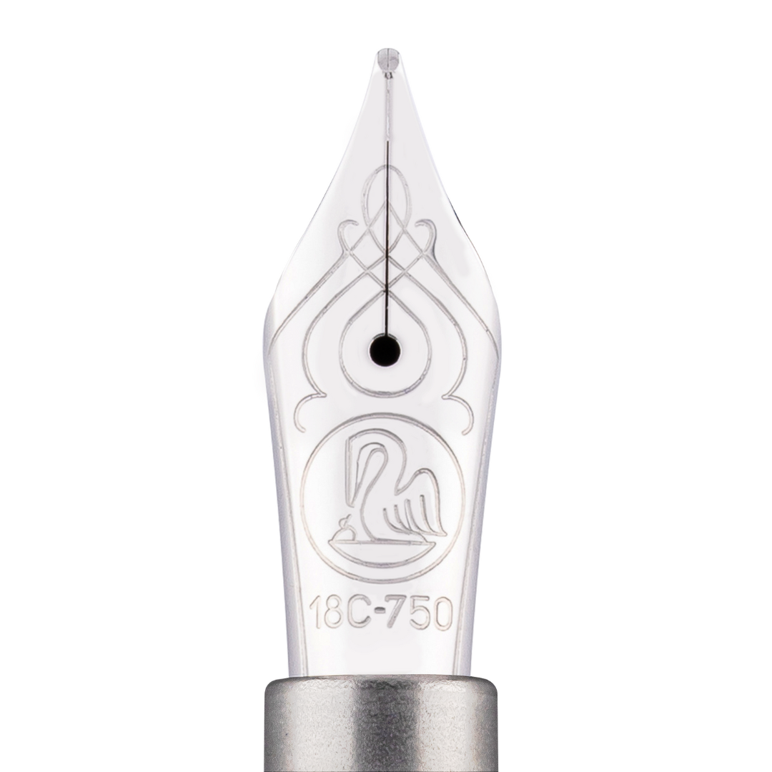 Pelikan Souverän® M805 Metal Sleeve Fountain Pen - Image 5